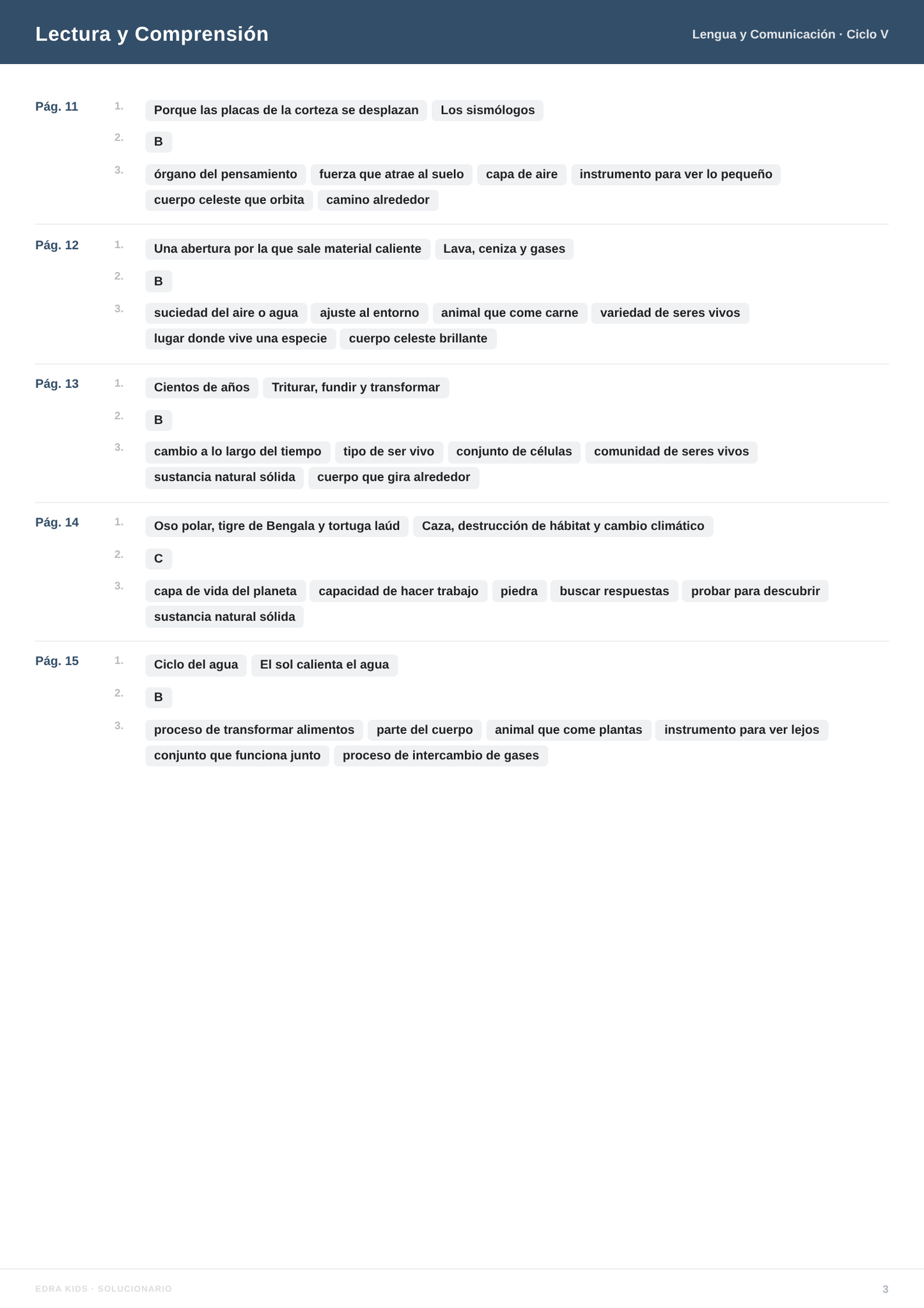Comunicación Ciclo V (10-11 años)