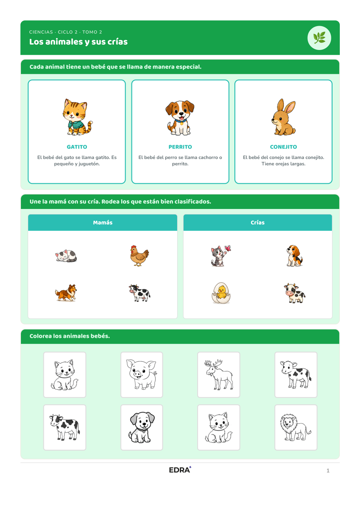 Mega Pack Completo — Ciclo II (3-5 años)