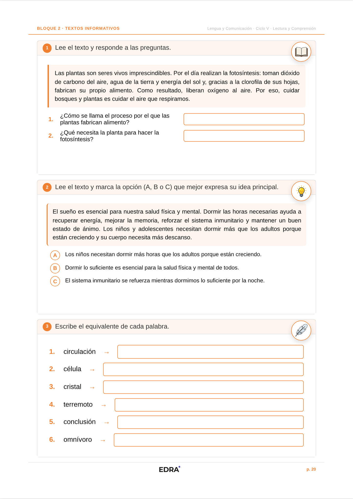 Comunicación Ciclo V (10-11 años)