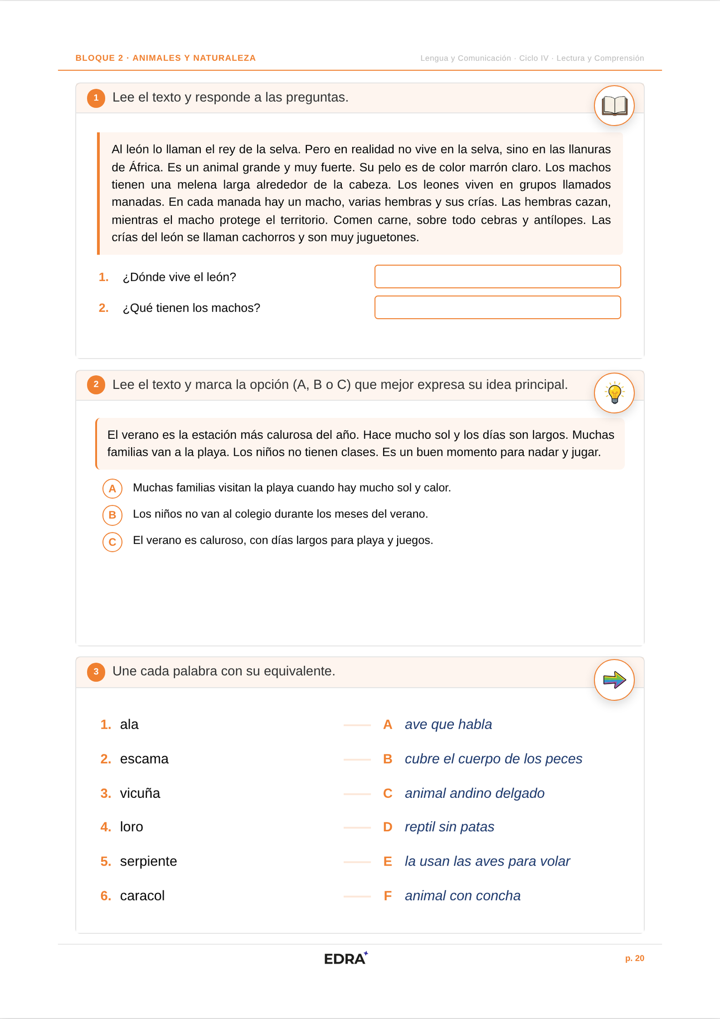 Comunicación Ciclo IV (8-9 años)